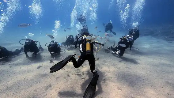 Discover Scuba Diving