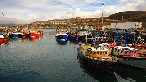 Glenfinnan Viaduct + Oban + Glencoe + Loch Lomond one-day tour