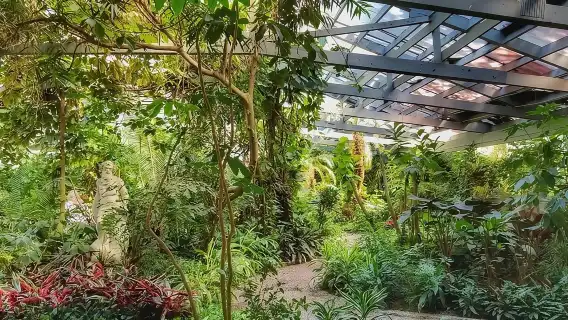 Magnolia Plantation Admission & Tour with Transportation from Charleston