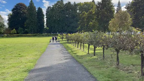 ทัวร์น้ำตก Snoqualmie และโรงบ่มไวน์จากซีแอตเทิล