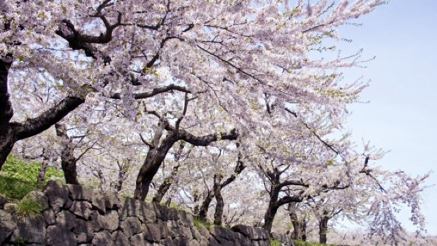 日本札幌定山溪-二見公園-白色戀人公園【北海道中文專車】
