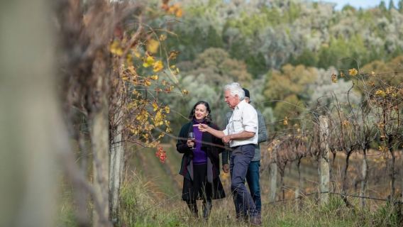 Combo: tour della Hunter Valley + biglietto per l'autobus hop-on-hop-off di Sydney