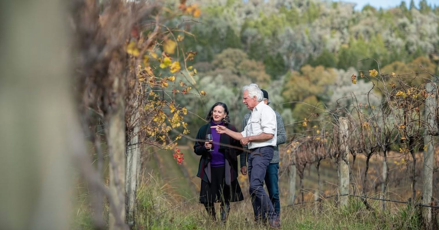 Combo: Hunter Valley Tour + Sydney Hop-on-Hop-off Bus Ticket