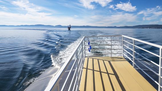 Tadoussac/Charlevoix: VIP Lounge OR UpperDeck Whale Watching