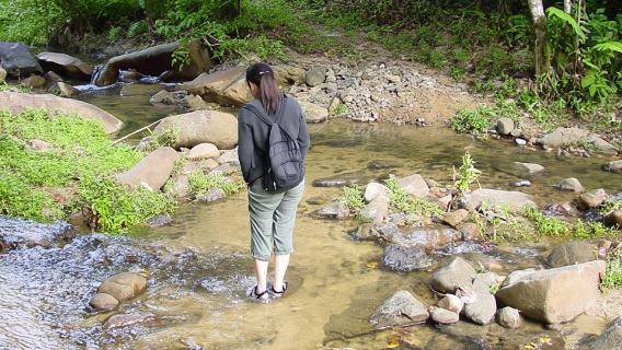 Visite de la cascade et du village de Biausevu aux Fidji