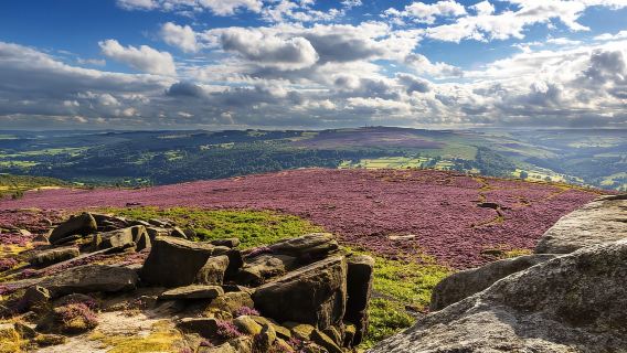 Từ Manchester: Chuyến tham quan Chatsworth và Peak District