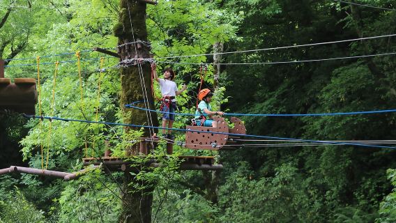 De Batoumi au parc national de Mtirala - Voyage en groupe