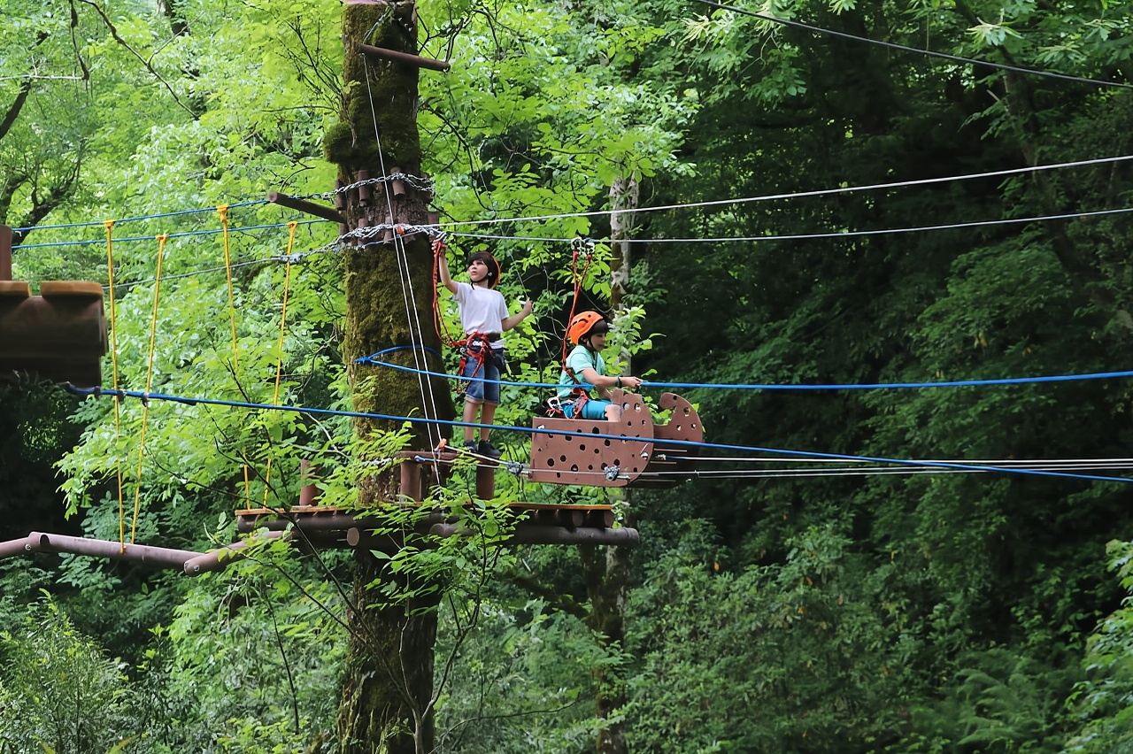 Batumi to Mtirala National park - Half day hiking group tour