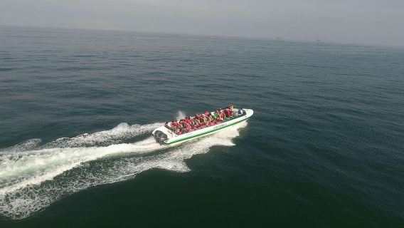 Da Paracas||Isole Ballestas + Riserva Nazionale Paracas