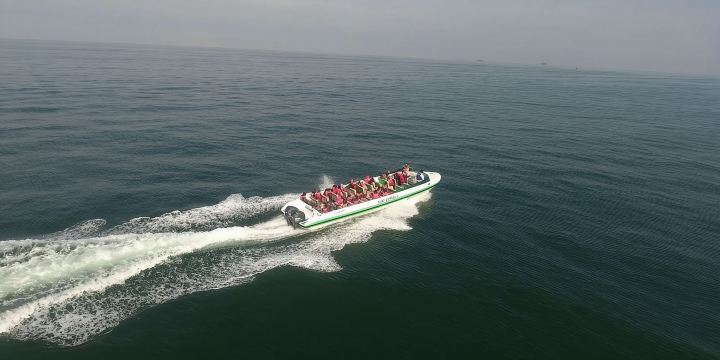 From Paracas ||Ballestas Islands + Paracas National Reserve