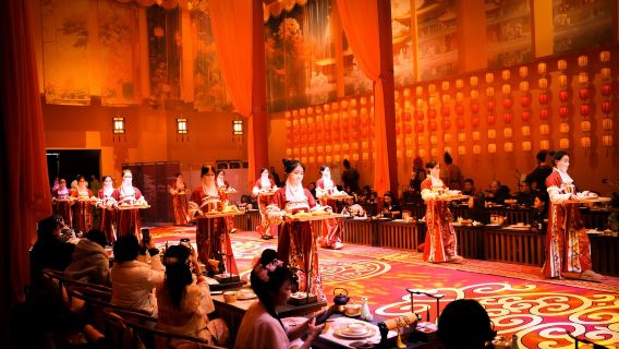 Chongqing Qingyu Banquet • Imperial Feast Experience (Imperial cuisine + Specialty Chongqing delicacies + Classical makeup experience + Audiovisual feast + Time-travel experience + Traditional costume experience)