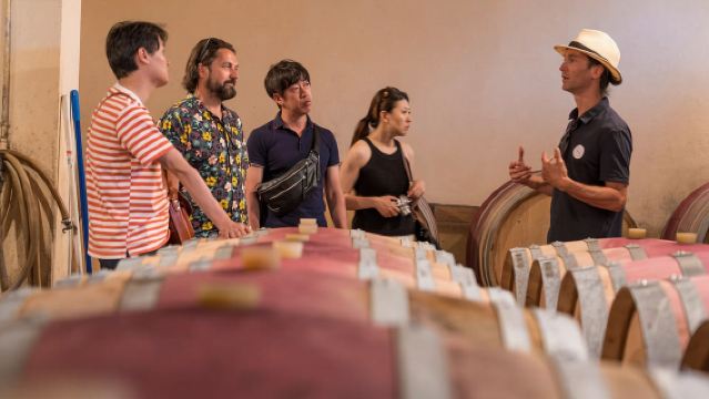 From Avignon: Châteauneuf du Pape Half-Day Wine Tour