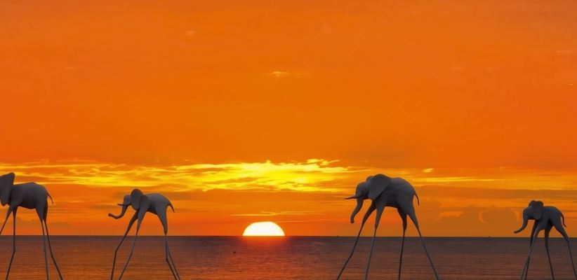 富國島夜釣|+海星沙灘+薩納托一日遊【中文導遊】