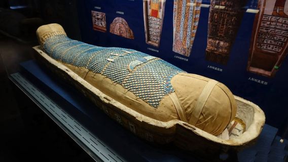 廣州古埃及大展 大咖講解 專業老師服務