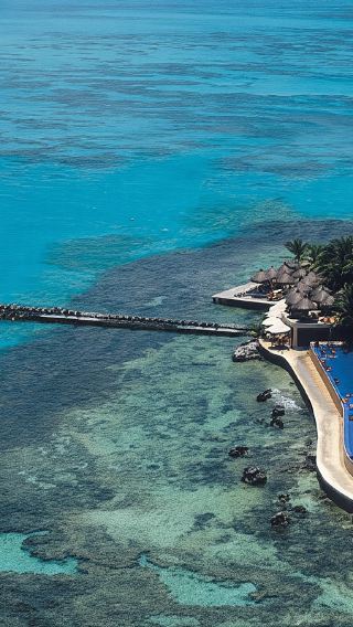 1-day tour to Isla Mujeres + Dolphin Discovery Isla Mujeres + Garrafon Park - MX