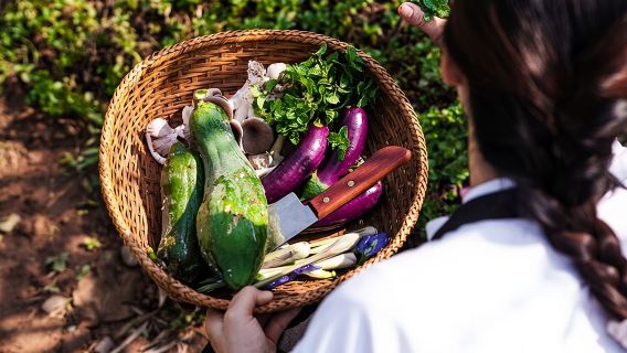 The Namkhan - Cooking Class