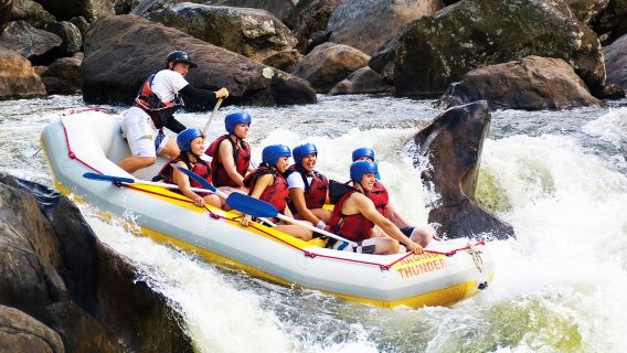 Rafting en el río Cairns Tully con opción de traslado/autoconducción, incluye instructor, equipo y cena