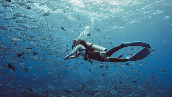 タイ・チャン島日帰りツアー【国立公園・難破船・ライセンス不要・ダイビング・シュノーケリング・資格取得】