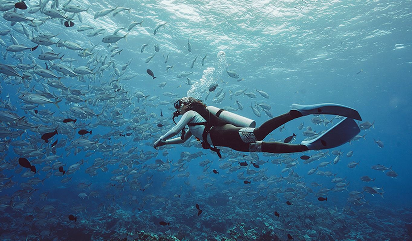 Excursión de un día de buceo en Ko Chang, Tailandia [Parque Nacional / Naufragio / Sin certificado / Buceo y snorkel / Certificación]