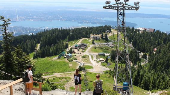 Grouse Mountain & Capilano Bridge Tour with Fish Hatchery