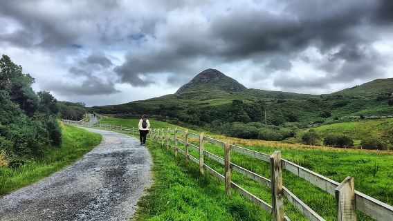 From Galway: Guided tour of Connemara with 3 hour stop at Connemara National Pk.
