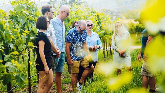 Tur Anggur Hunter Valley ex Hunter Valley - Makan Siang, Keju, Cokelat, Penyulingan