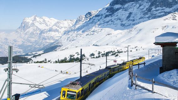 Excursión de un día a Jungfraujoch, Top of Europe, e Interlaken desde Zúrich