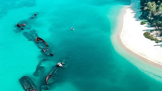 tour di un giorno a Moreton Island Dolphin Island a Brisbane crociera volo (avvistamento balene, sandboarding, snorkeling e quad facoltativi)