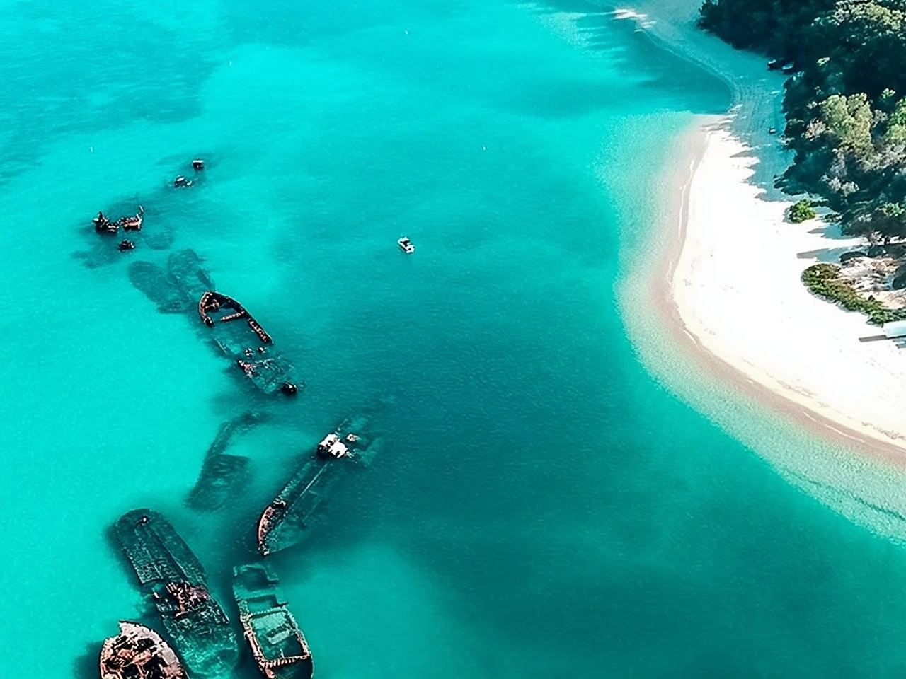 Brisbane Moreton Island Day Tour with Cruise and Optional Scenic Flight (Whale Watching/Sandboarding/Snorkeling/ATV Quad Bike)