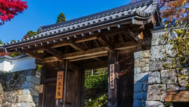 嵐山+渡月橋+天龍寺+野宮神社一日遊【普通話司機包車團】