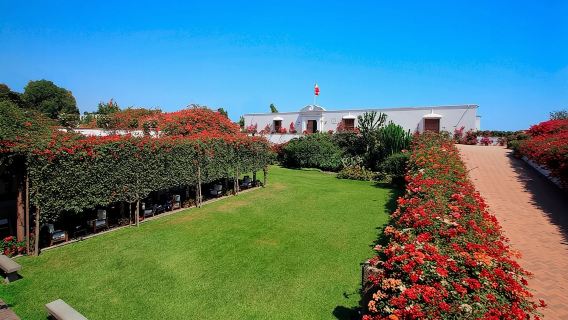 Salta la coda: biglietto d'ingresso al Museo Larco
