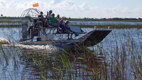 Private Tour: Florida Everglades Airboat Ride and Wildlife Adventure