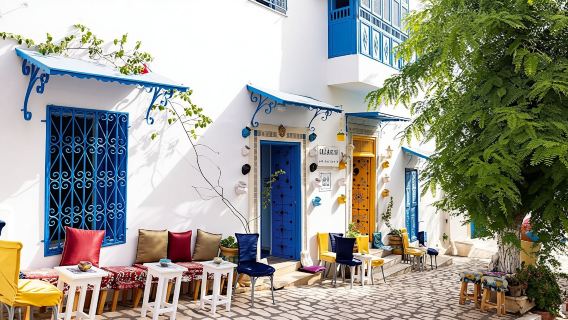 Tour durch das antike Karthago und Sidi Bou Said inklusive Mittagessen
