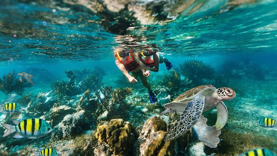 Avventura di snorkeling nel Parco Nazionale Marino con pranzo in spiaggia