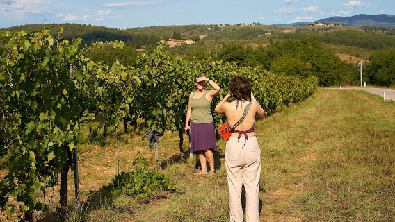 Small-Group Winery Tour and Expert-Led Masterclass from Florence