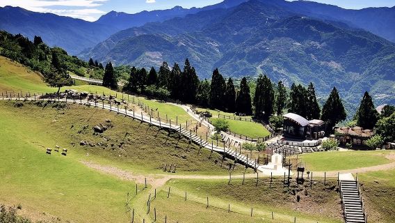 однодневный тур на Cingjing Veterans Farm и Солнце и Луна