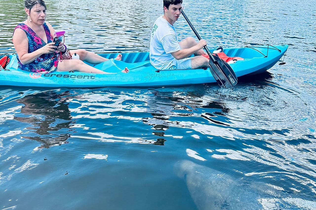 Dolphin and Manatee Kayak and SUP Adventure Tour of Cocoa Beach