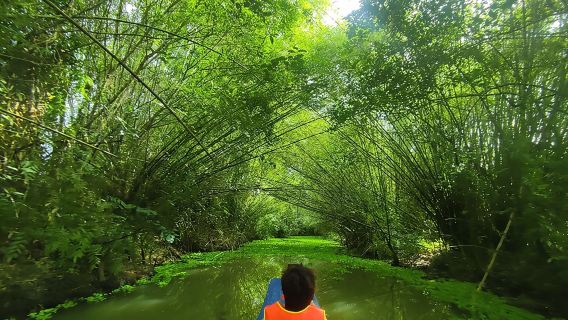 Excursion pour les amoureux de la nature - Réserve naturelle de Lung Ngoc Hoang à Can Tho