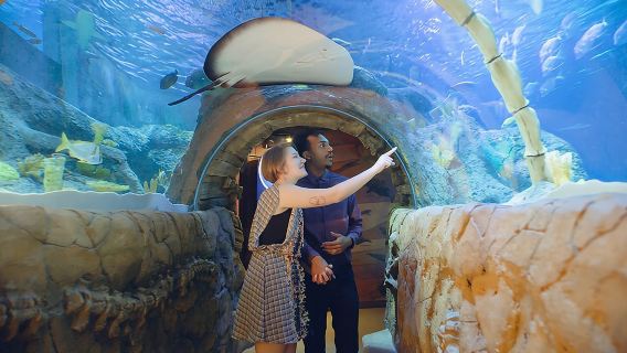 SEA LIFE Michigan Aquarium Admission Ticket