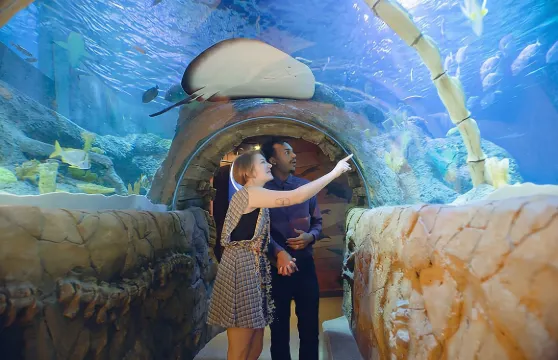 堪薩斯城海洋生物水族館門票