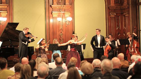Vienna Supreme Concerts at Palais Eschenbach