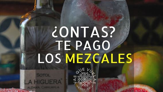 Cabo San Lucas Mezcal Tasting and Cocktail Class