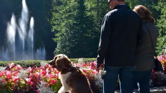 Victoria & Butchart Gardens Tour with Gulf Islands Cruise Ferry 