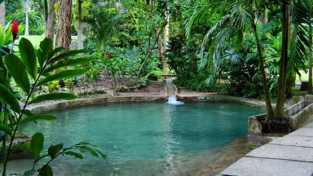 Turkish : Botanical Garden, Natural and Cultural Treasure with Lunch