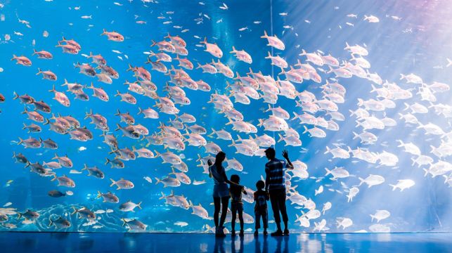 珠海長隆海洋王國套票1晚/2晚 企鵝/橫琴灣/飛船/馬戲/迎海公寓可選 飛船樂園長隆秀卡卡虎門票美食套餐