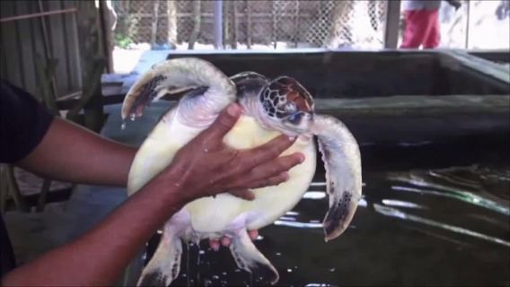 City Tour: Discover Aluthgama with Thrilling Adventures