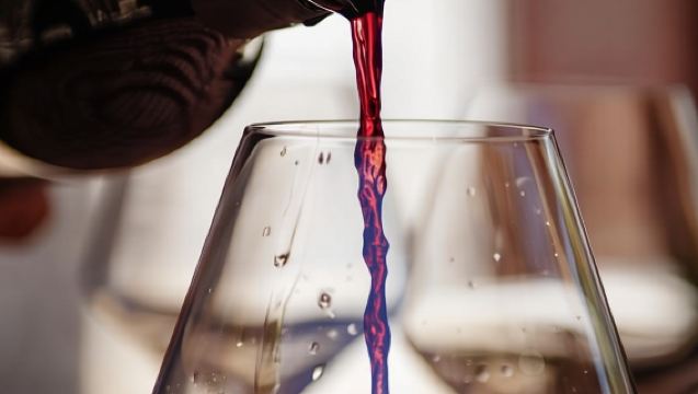 Visita le colline della Costiera Amalfitana con degustazione di vini e un pranzo tipico.