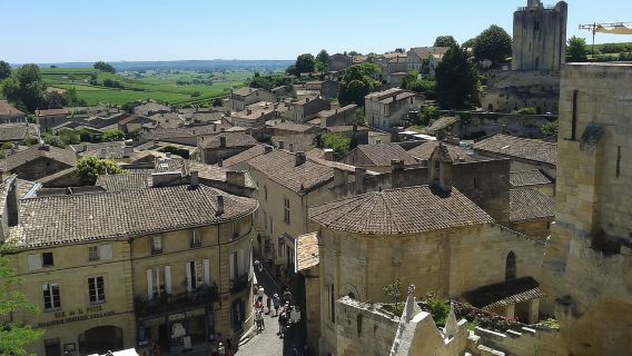 De Bordeaux : Visite Dégustation de Vins de Saint-Émilion