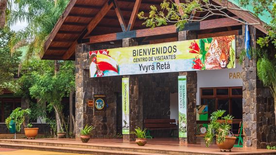 Puerto Iguazu: Argentinian Side of the Falls