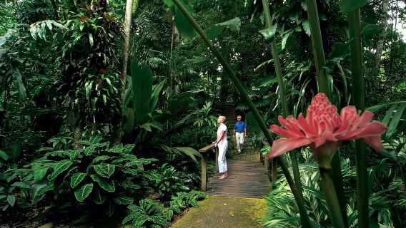 Cairns Aquarium Turtle Hospital and City Sightseeing Tour